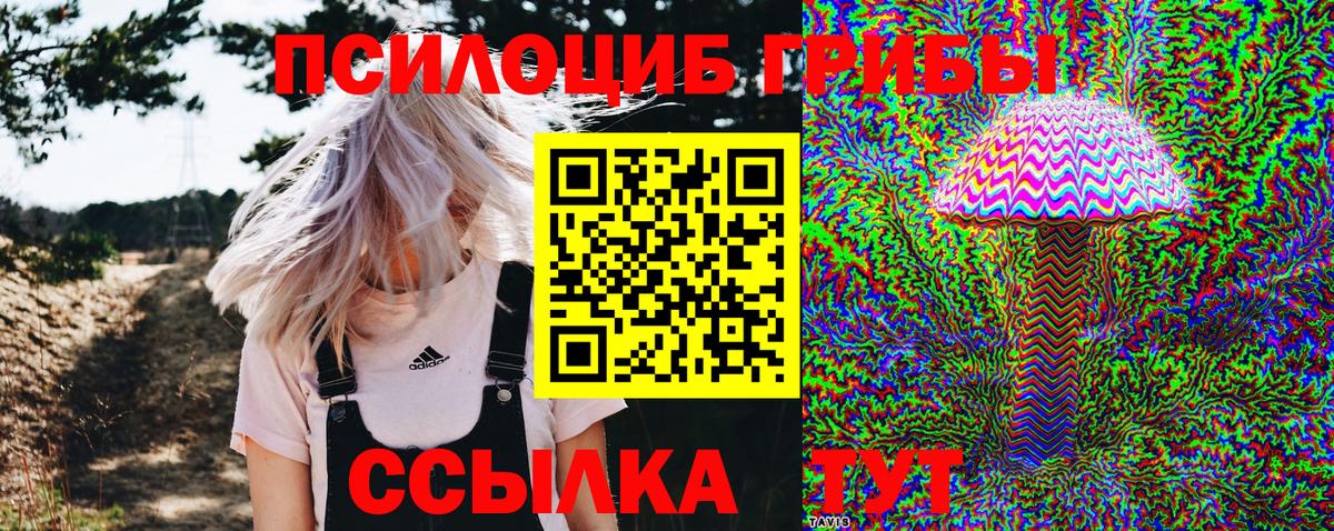 Беслан  Псилоцибиновые грибы мицелий  Галлюциногенные грибы ЛСД  Вход с VPN 